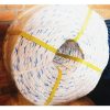 68f2f77d-0572-433b-859d-929ed06208d1 Tali PP polypropylene Mono / Nylon Strip Biru CIR 2-3/4" 22 mm